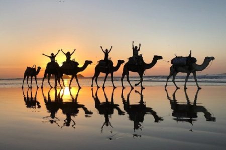 Discover the Magic of Camel Riding in Taghazout and tamraght