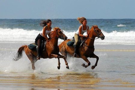 Horse Riding Near the Beach in Taghazout and Tamraght