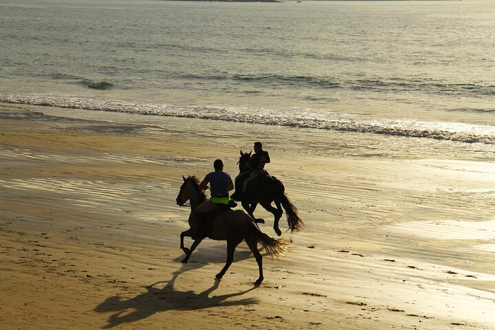 Horse Riding Near the Beach in Taghazout and Tamraght