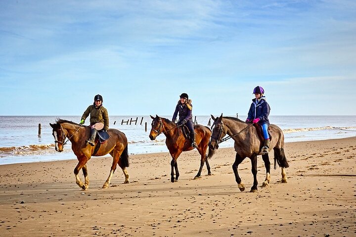 Horse Riding Near the Beach in Taghazout and Tamraght